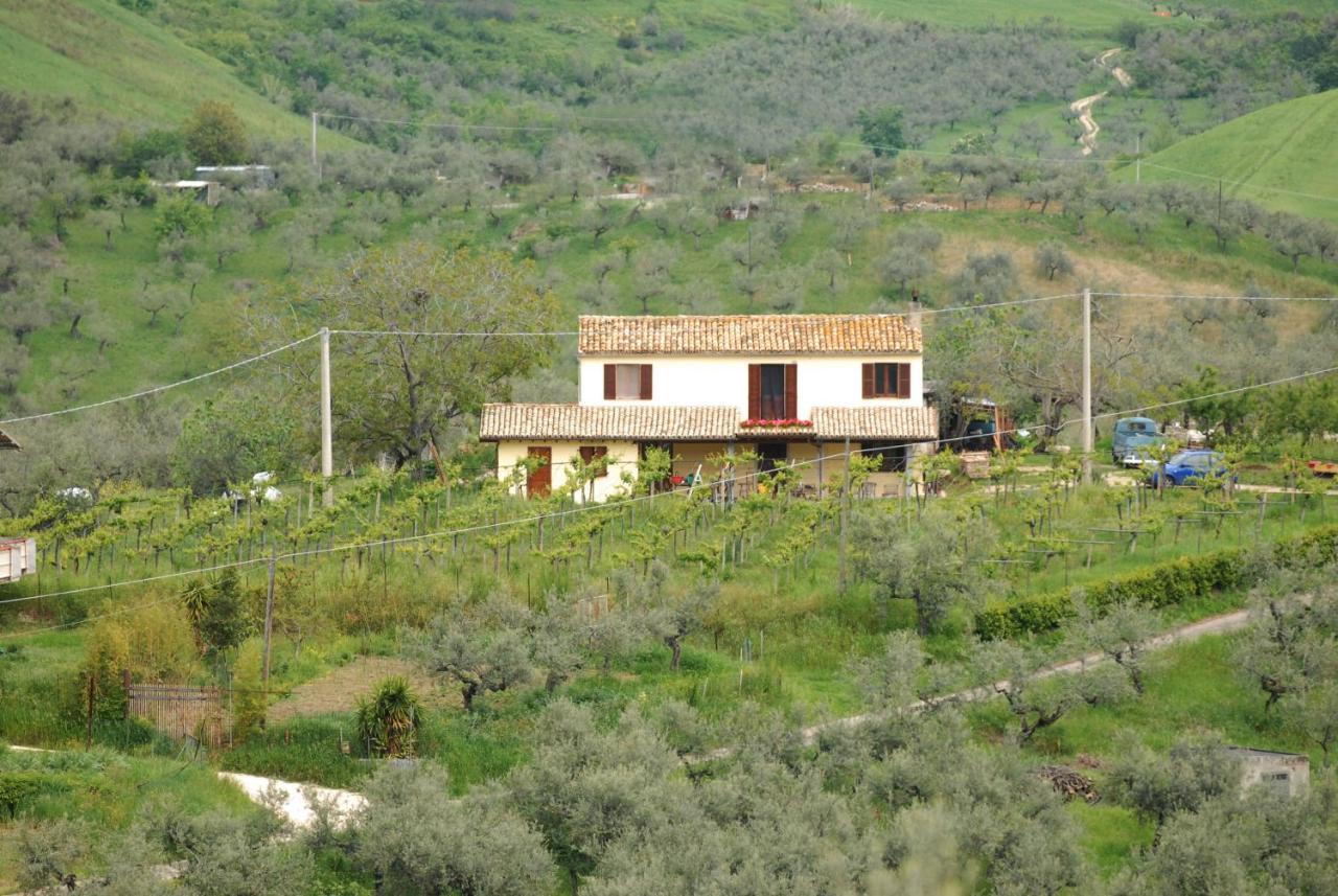 B&B Conca Del Pretore Loreto Aprutino Exterior foto
