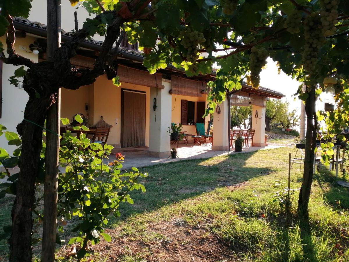 B&B Conca Del Pretore Loreto Aprutino Exterior foto